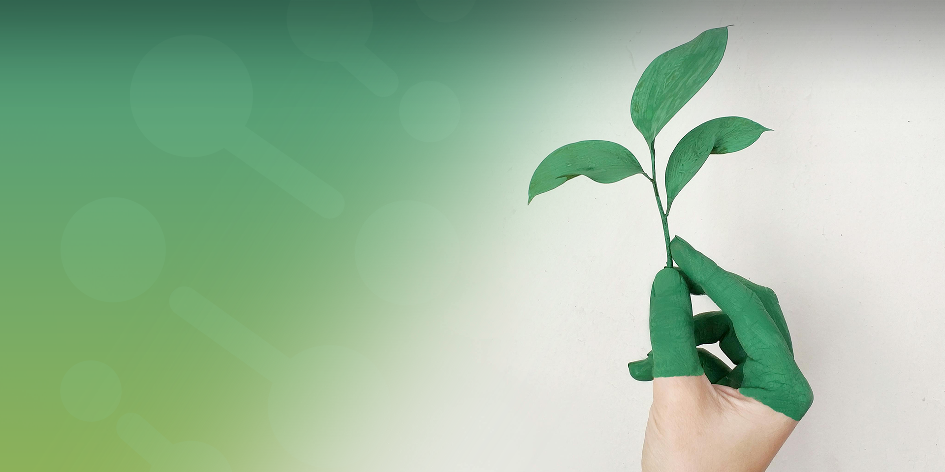 Draw the soul of nature and create the art of life