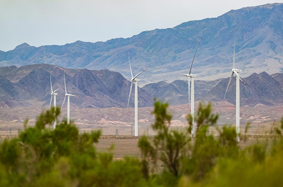 世界地球日：用可再生能源守护地球的绿色未来